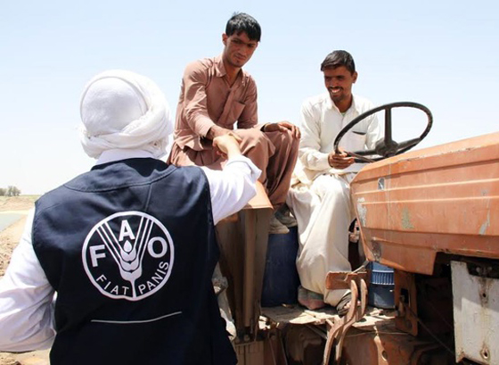  FAO Prepared to Assist Iran Countering US$ 1 billion Economic Loss from Land Degradation