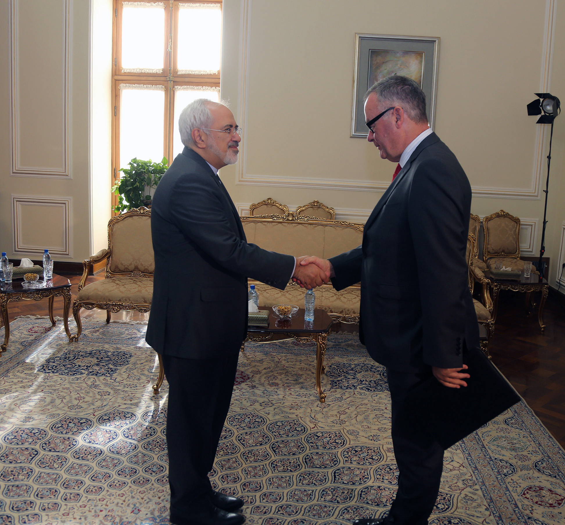  The new Irish ambassador to Iran presents his credentials to Zarif