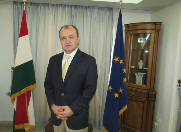  Hungarian ambassador: Tehran, Budapest need to rediscover each other