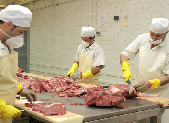  FAO: Iran to become self-sufficient in meat production if losses reduced