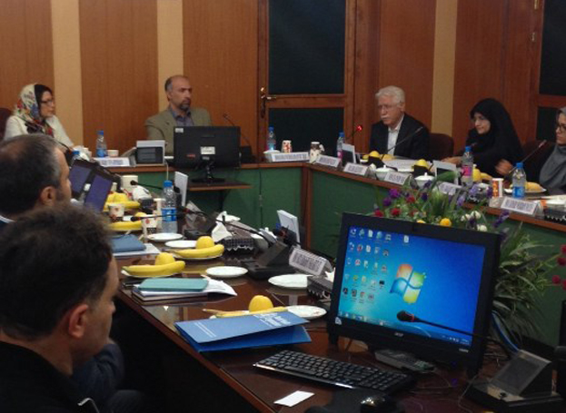  The Statistical Center of Iran (SCI) presented the findings of the UNDAF Baseline Survey (2017-2021) to UN agencies