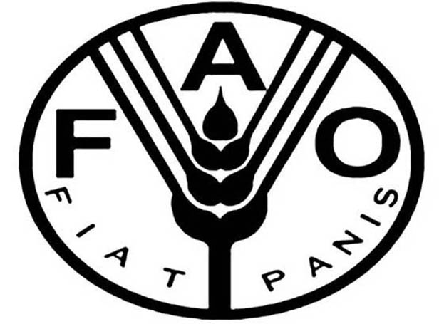  FAO hosts International Seminar on Drought co-organized by Iran and Netherlands