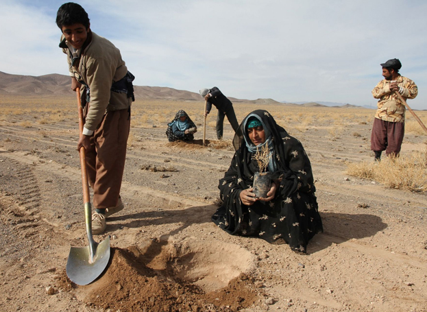  Iran and UNDP strengthen efforts to combat desertification