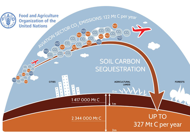  FAO Advocates on Role of Soils for Offsetting Aviation Emissions