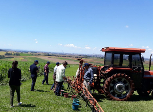  FAO Assists Iran to strengthen capacities toward sustainable growth of oilseed crops