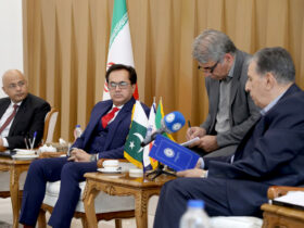 نشست رئیس اتاق ایران و سفیر پاکستان در تهران